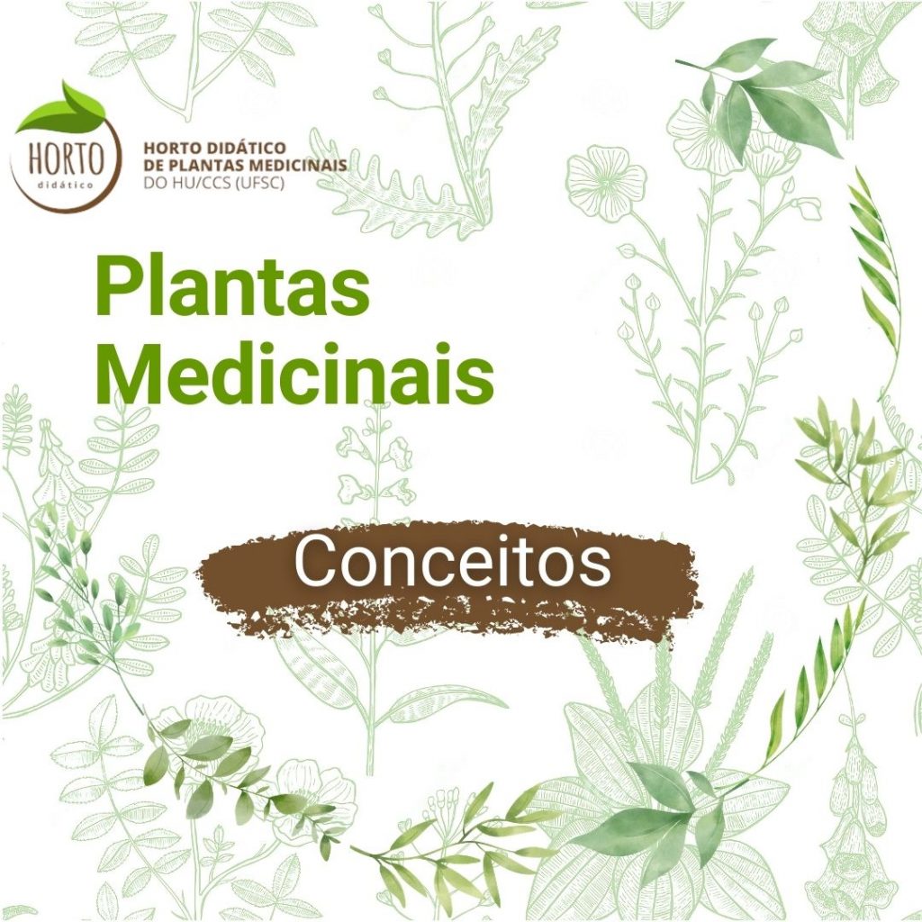 Horto Didático De Plantas Medicinais Do Huccs 8372